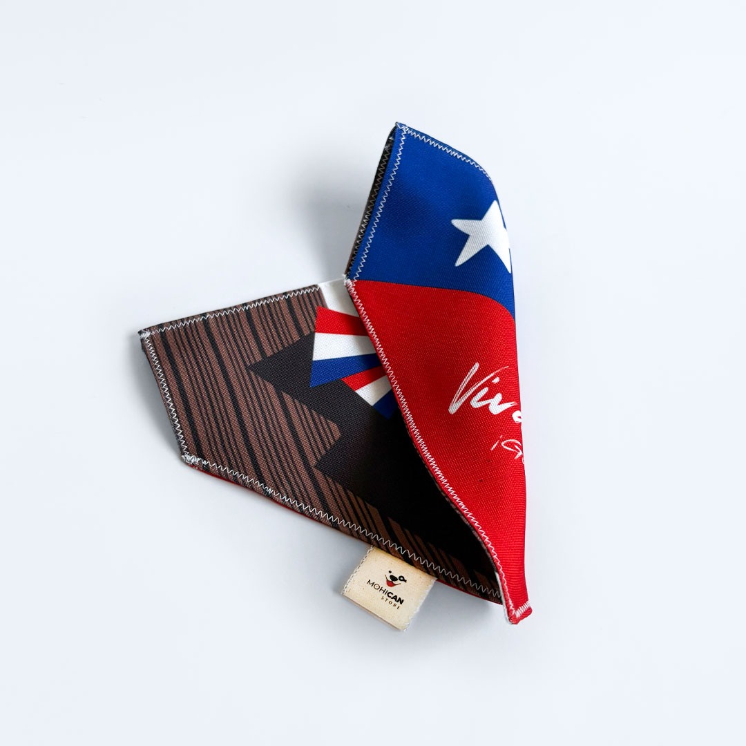 fiestas-patrias-1080x108007