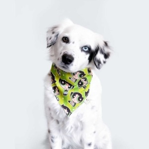 Bandana de Broche Bellota Chicas Superpoderosas