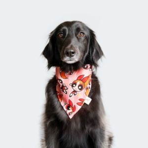 Bandana de Broche Bombón Chicas Superpoderosas