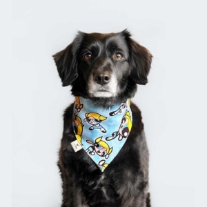 Bandana de Broche Burbuja Chicas Superpoderosas