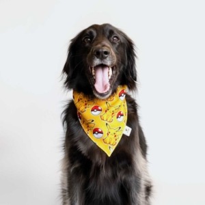 Bandana de Broche Pikachu